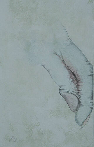 Collection of the Lowe Art Museum, University of Miami