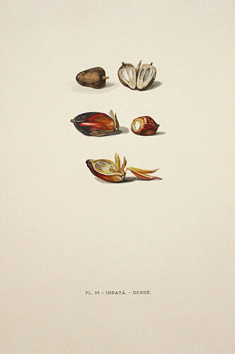 Collection of the Lowe Art Museum, University of Miami
