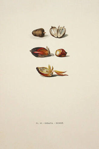 Collection of the Lowe Art Museum, University of Miami
