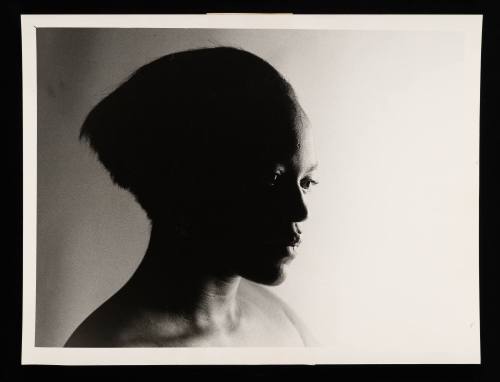 Collection of the Lowe Art Museum, University of Miami